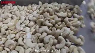 Cashew Sorting Technology | AI Optical Sorter for Nut Processing | Lauffer Vision UK & Europe