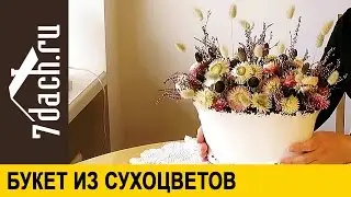 Букет из сухоцветов - 7 дач
