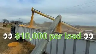 2022 organic corn harvest is done!!!