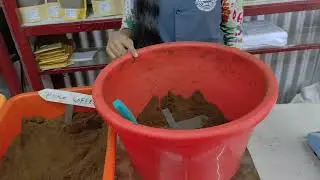 Filter coffee Manufacturing method | Yercaud |ஏற்காடு ஃபில்டர் காபி தயாரிப்பு |
