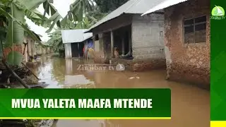 MVUA YALETA MAAFA MTENDE