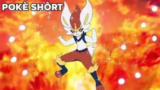 Goh's Raboot evolves in Cinderace | Pokemon Journeys