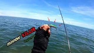 MINNOW KILLER MURAH COCOK UNTUK MANCING CASTING DI PINGGIRAN LAUT