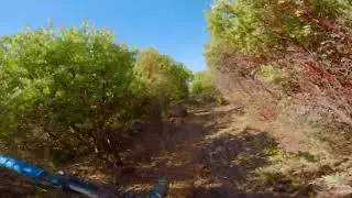 MTB - What Trail - (San Luis Obispo - West Cuesta Ridge)