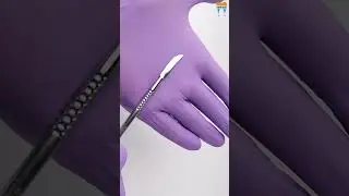 Waldent Lecron Carvers 15/737: Precision Tools for Dental Professionals #dentalmaterials #dentalkart
