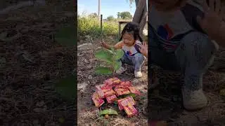 Cute baby Planting cakes #planting #survival #outdoors #camping #fyp
