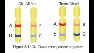 GRADE - XII || SUBJECT - BOTANY & BIO-BOTANY || TOPIC - LINKAGE || Online Classes 12th std