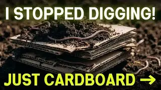 I Used Cardboard Once&hellip; Now I&rsquo;ll NEVER Dig Again | No-Dig Gardening with Cardboard