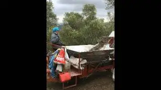 LIMPIADORA DECOIL 5G500 EN OLIVAR TRADICIONAL EN PENDIENTE