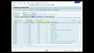 Mastering SAP LSMW A Comprehensive Guide for Data Migration 4
