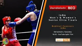 Dornálaíocht BEO | IABA National Elite Boxing Championship Finals | 11/11/23