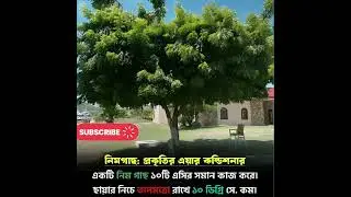 বাড়িতে নিম গাছ থাকলে কি হয় #facts #recommend #minivlog #gk #geographicallocation