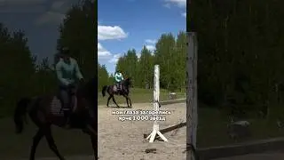 А вы бы на что потратили 250 к? #рекомендации #shorts