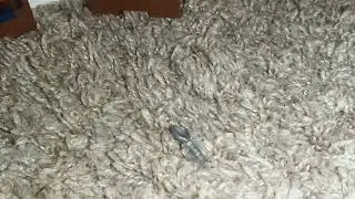 Stealing the spoon from the Lego going merry