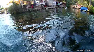MARMARİS AKYAKA AZMAK &Ccedil;AYI GEZİSİ