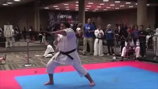 2015 North American International Karate Championships Promo