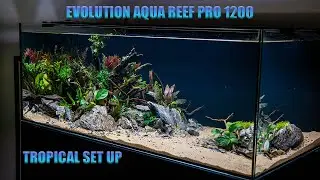 Evolution Aqua Reef Pro 1200 with sump (Tropical Set Up)
