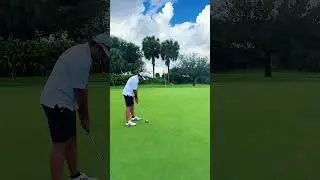 Par 3 the hard way #golf #golfswing #golflife