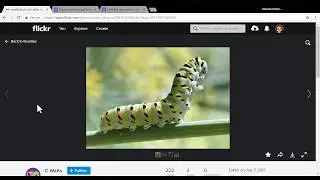 Finding Flickr.com Creative Commons images and providing attribution