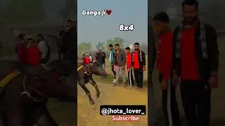 #public #reaction #ganga ji #patti ki video like and subscribe @jhota_lover_