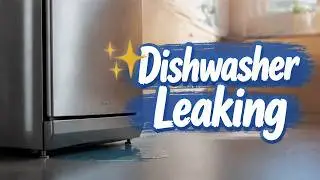 ✨ Dishwasher Leaking - This One Fix Saves Hundreds ✨