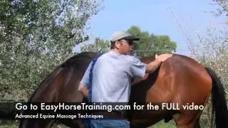Advanced Equine Massage Techniques