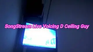Stream Live Voicing D Ceiling Guy  #SongStreamLive