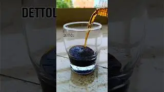 KMnO4 Experiment With Dettol #shorts