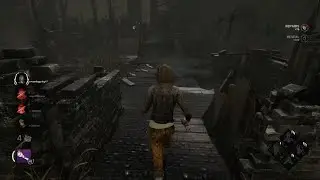 Horse kicks tree, farts on dogs then runs away.