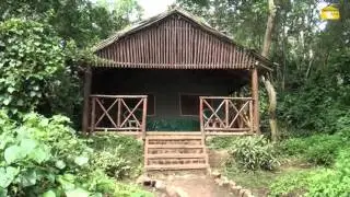 Kibale Forest Camp. Kibale Forest, Uganda - &copy; Abendsonne Afrika