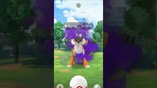 Shiny Shadow Raikou ✨️ #pokemongo #pokemon #shinypokemon #legendarypokemon