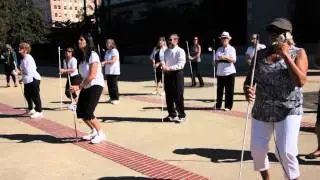 White Cane Safety Day Flash Mob