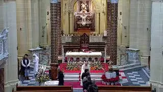 Quddiesa tat-8.30am fit-Tifkira ta' San Ilarju ta' Poitiers - 13.01.2026