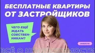 В России появятся бесплатные квартиры от застройщиков. Чего ещё ждать собственникам?
