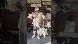 BEST way to tie DECOY RIGS!  #hunting #duckhunt #duckhunter #outdoors #duckhunting #waterfowlhunting