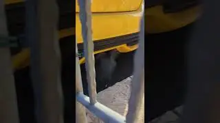 Focus ST excessive smoke at idle
