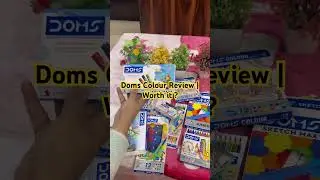 Doms Colours Review | Worth It?