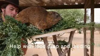 Namibia Wildlife Experience
