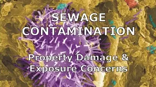Sewage Contamination, Property Damage & Exposure Concerns by IndoorDoctor