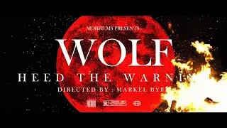 Heed The Warning - Wolf