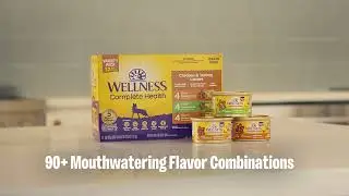 Wellness Complete Health for Cats