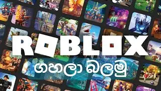 ROBLOX ගහලා බලමු | Roblox Sinhala Gameplay