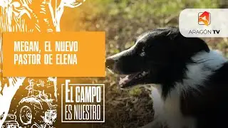 Megan, el nuevo pastor de Elena, es sevillano
