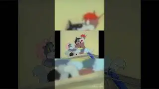 #shorts #cartoonlegends #tomandjerryforever #classicanimation #cartoonnostalgia