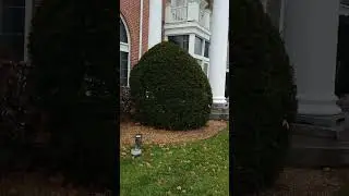 Walking down North Main Street in Mansfield, MA - Wed Nov 26, 2025
