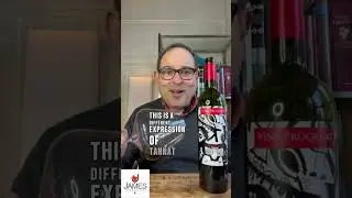 Vi&ntilde;a Progreso Revolution Tannat '20 93 Point #uruguay #tannat #shorts