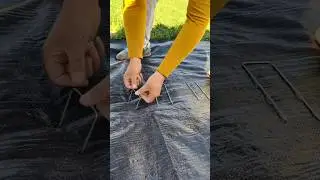 WEED BARRIER LANDSCAPE FABRIC installing process #shorts #satisfying #machinewonders #12914