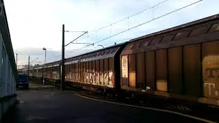 [CTL Logistics] 186 264-8 | Zbąszynek