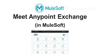 Meet Anypoint Exchange (in MuleSoft)