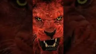 🦁 Babbar Sher 🦁 new WhatsApp | status | 🦁🦁